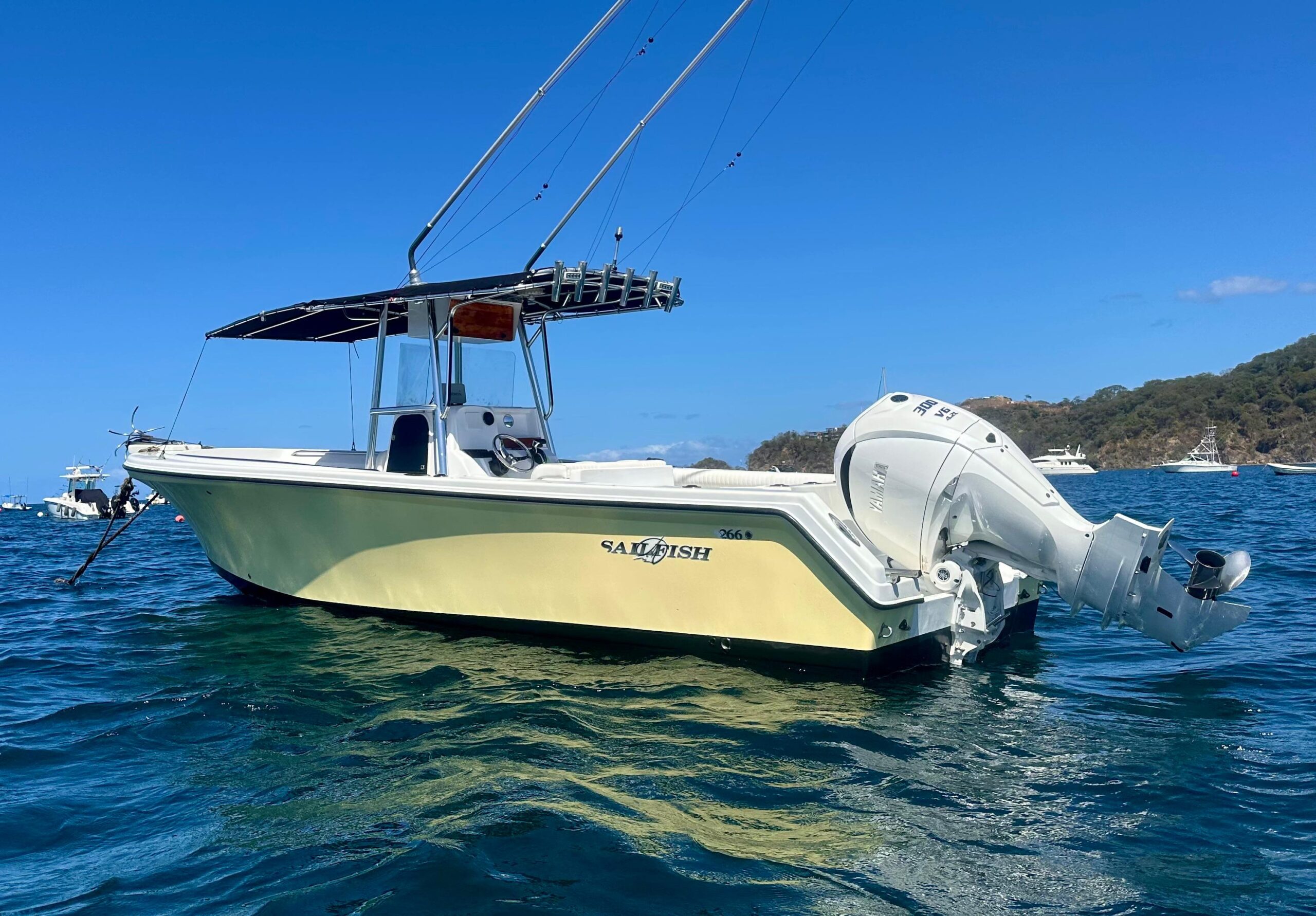 Read more about the article Sailfish 27ft